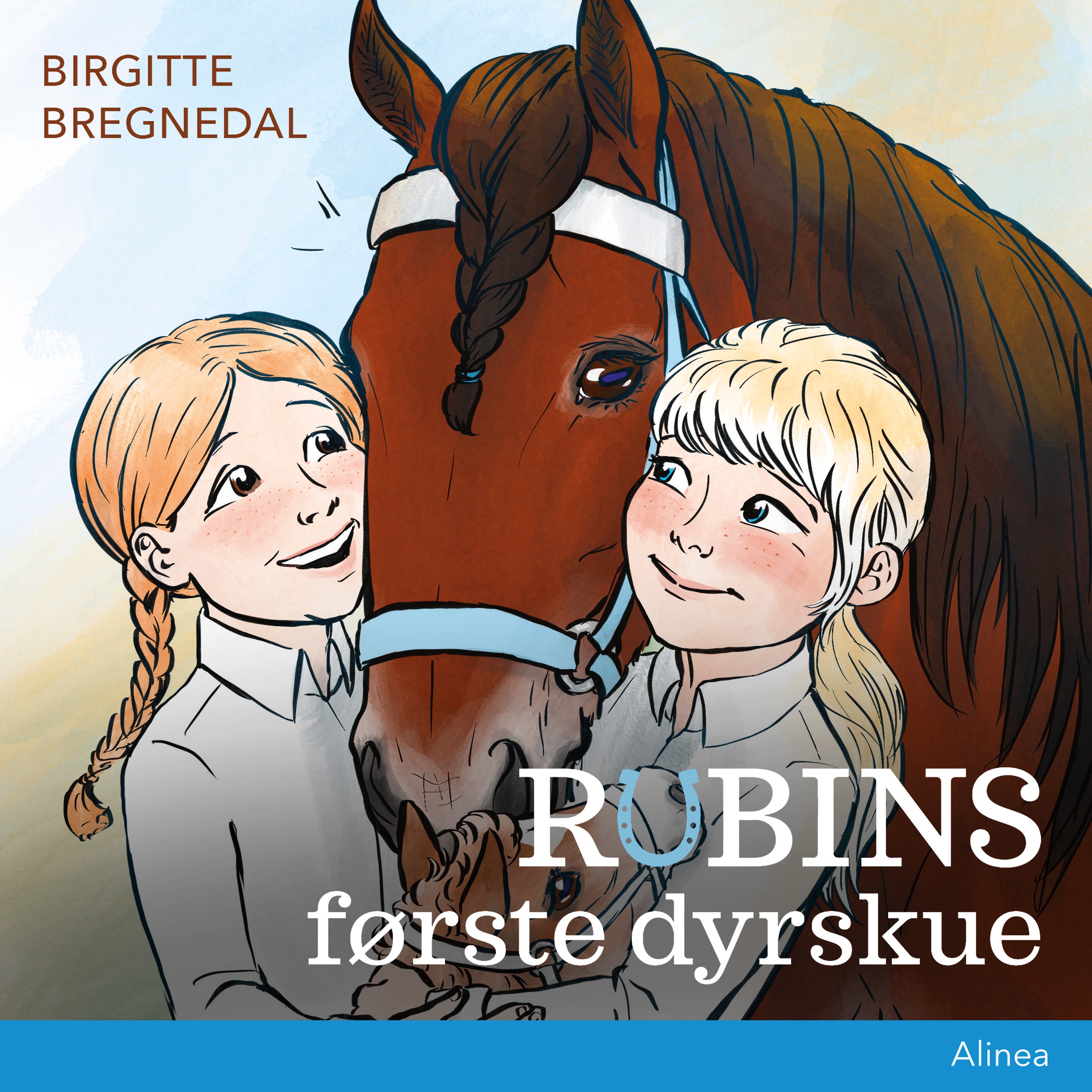 Forside billede